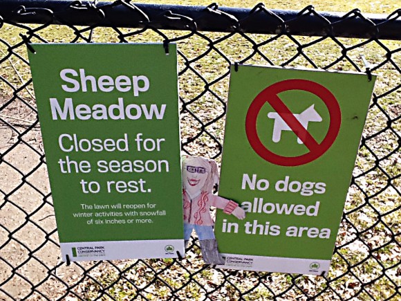 sheep-meadow