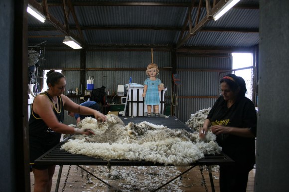 Flat S helps with sheep shearing