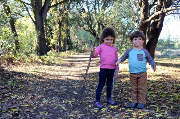 Modified Oliver + S Field Trip Raglan T-shirts