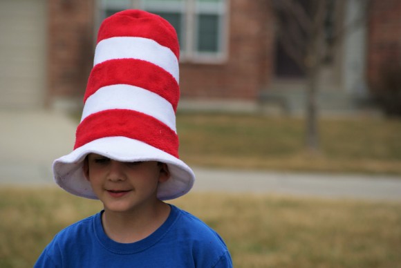 "Cat in the Hat" hat using the Oliver + S Reversible Bucket Hat