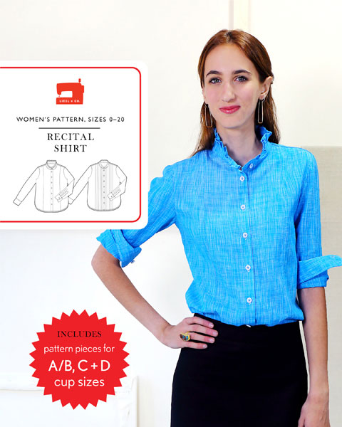 US Standard Size 14-30 Sewing Pattern Princess seam Button Down Dress